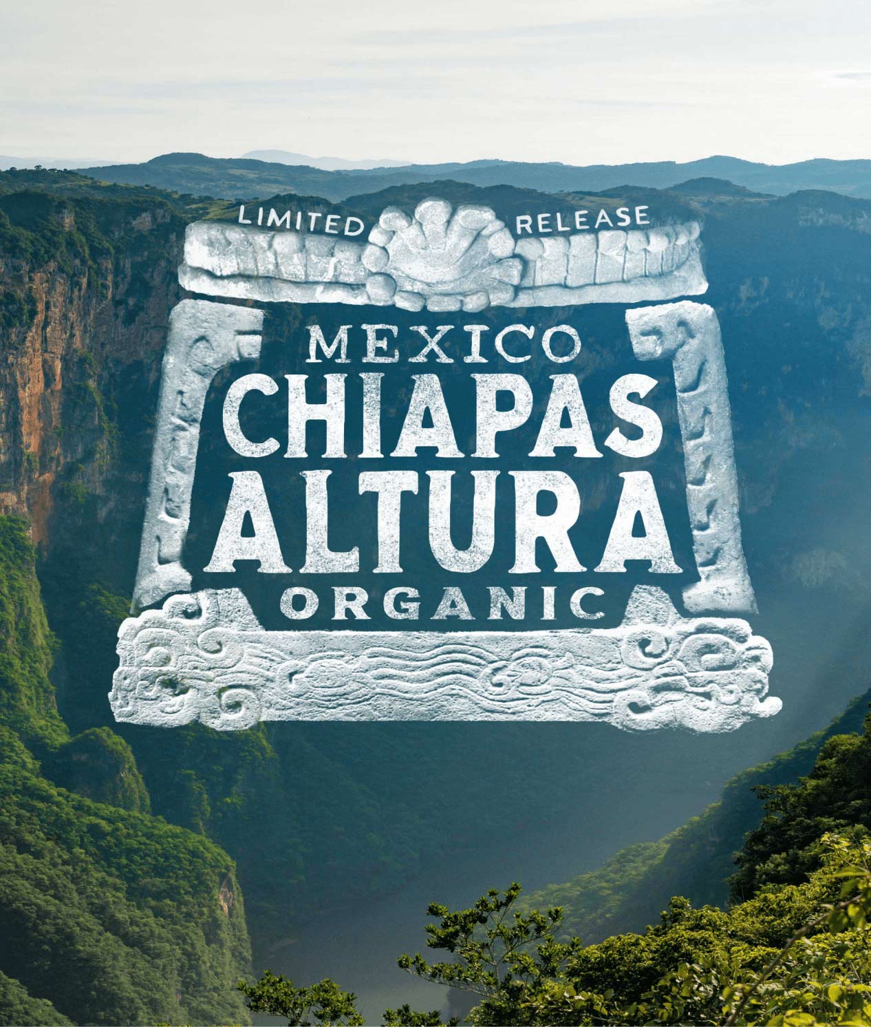 Peet's Coffee Mexico Chiapas Altura Organic Coffee logo over a deep valley 