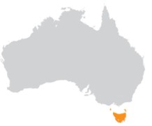 TAS